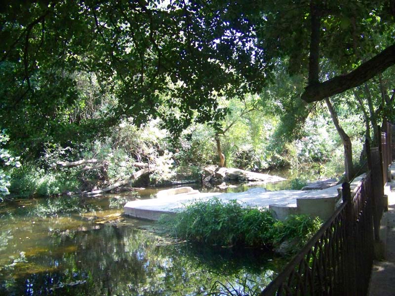 Mas de la Grillonne_83260 LA CRAU_12 Mas de la Grillonne_83260 LA CRAU_12
